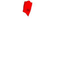 Bp