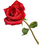 Old boy