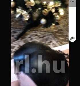 szexpartner Sheron +36 20 / 255-6650