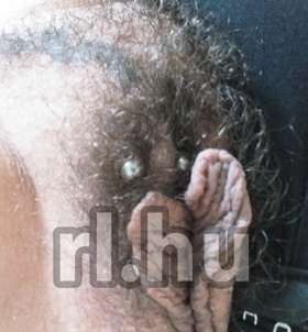 szexpartner Sissy +36 30 / 156-3544